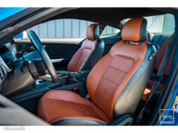 Ford mustang gt 5.0l v8 450ch bvm6 premium b&o – Étoile-sur-Rhône