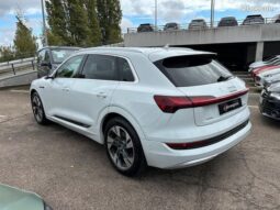 Audi etron 50 equattro 313 avus – Chambourcy