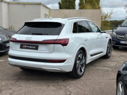 Audi etron 50 equattro 313 avus – Chambourcy