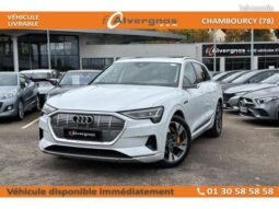 Audi etron 50 equattro 313 avus – Chambourcy