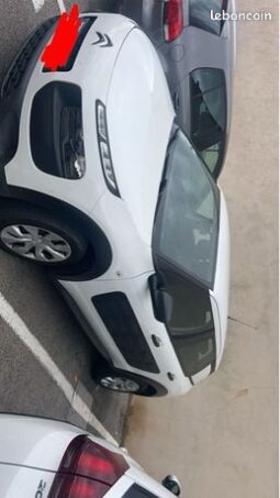 C4 cactus – Mallemort