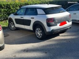 C4 cactus – Mallemort