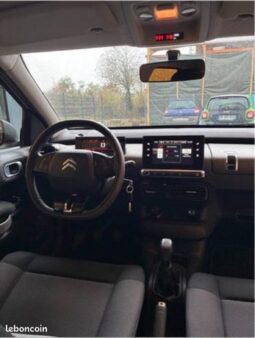 C4 cactus – Mallemort